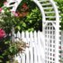 © Elenathewise - stock.adobe.com